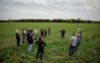General Mills executives and employees visited Stoney Creek Farm in 2021 to learn about how the farm is adopting regenerative practices. The company i