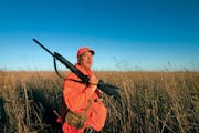 Scott Rall, chairman of the Governor’s Pheasant Hunting Opener committee in Nobles County, watched for birds during the 2014 pheasant opener.