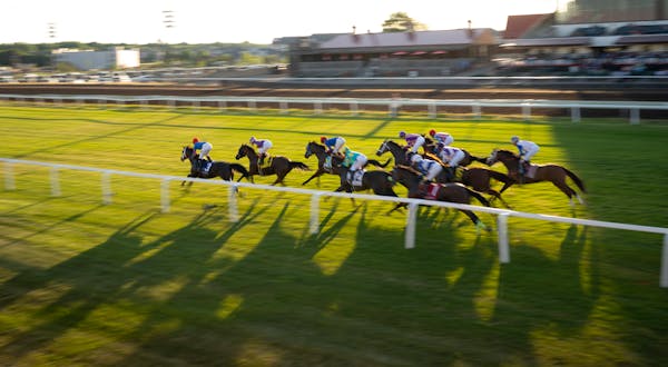 Wagering at Canterbury Park reached its peak on June 22 for the  Mystic Lake Northern Stars Turf Festival. 