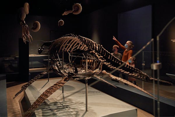 “Jurassic Oceans: Monsters of the Deep” is now open at the Field Museum in Chicago.