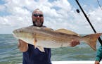 Donn Weber with a bull red drum caught off the coast of Texas.