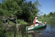 Researcher Carrie Jennings paddled by farm tile drains emptying into the South Fork Crow River, a major source of Mississippi River pollution. 