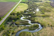 The 2,000 volunteers of Twin Cities Trout Unlimited have worked for years to restore trout streams in the metro area, including the Vermillion River n
