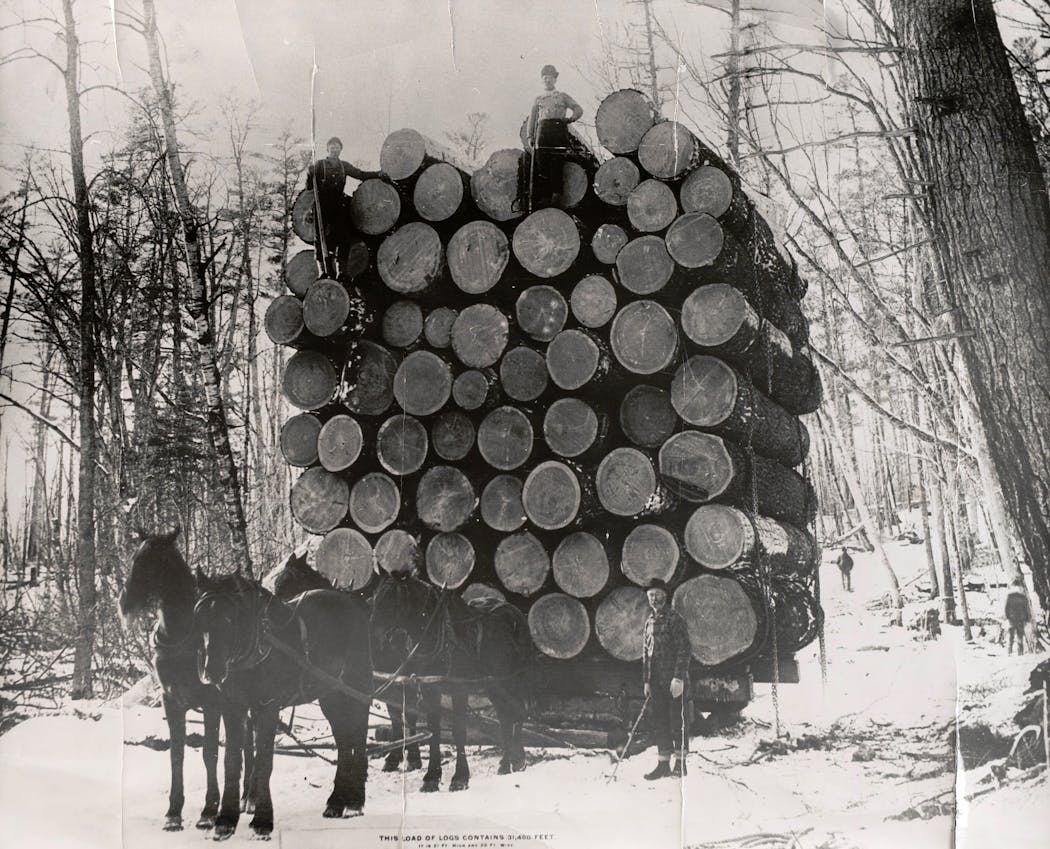 Four horses prepared to pull a load of logs piled 21 feet high in Kanabec County in 1892.