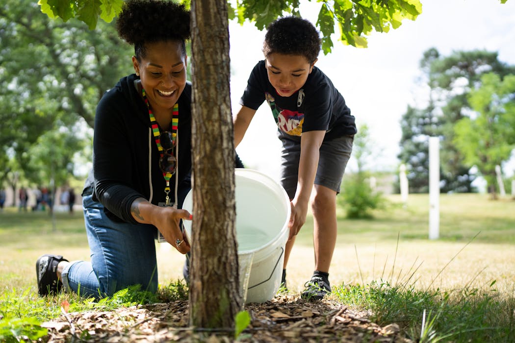 Metro Transit Juvenile Outreach Coordinator Chaunte Ford helps 7-year-old Micheal Johnson-Solix water saplings at North Commons Park on July 16 in Minneapolis.