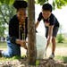 Metro Transit Juvenile Outreach Coordinator Chaunte Ford helps 7-year-old Micheal Johnson-Solix water saplings at North Commons Park on July 16 in Min