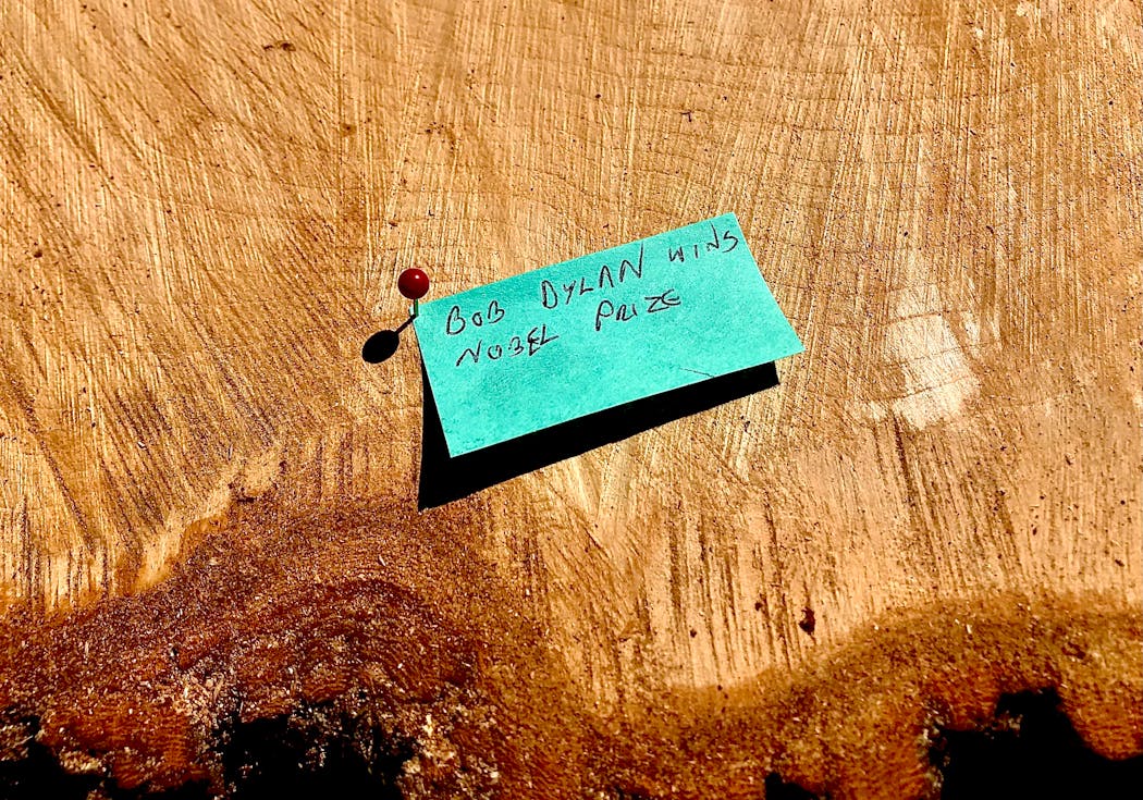 By counting the tree rings, you can make note of the important events your tree saw in its lifetime.