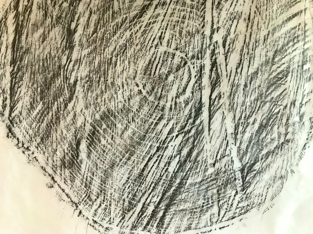 A graphite rubbing of a boulevard tree stump in St. Paul reveals tree rings and saw marks.