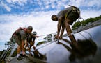 Employees of NY State Solar install an array of solar panels on a roof, Thursday in Massapequa, N.Y. Congress will vote Friday on what would be the fi