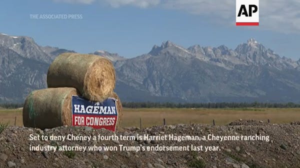 Will Wyoming vote out Liz Cheney?