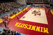 Live at Maturi Pavilion isn’t the only way to watch the Gophers volleyball team this season.
