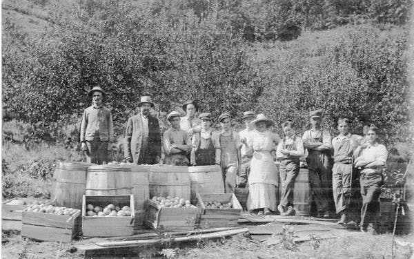 Anna Underwood, fifth from right, with her crew at her fruit orchard in Lake City, about 1885. 