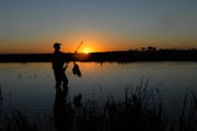 U.S. waterfowl hunters traveling to Canada this fall might face import restrictions of their harvested birds because of the government’s attempt to 