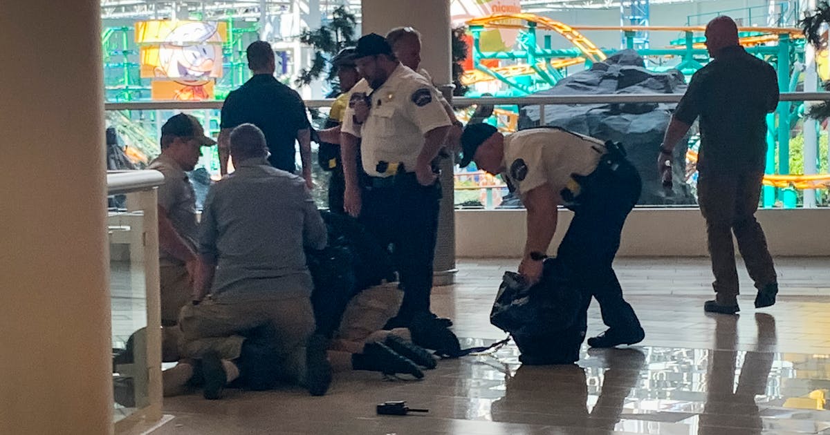 Man with rifle in Mall of America tackled and arrested after robbing store, police say
