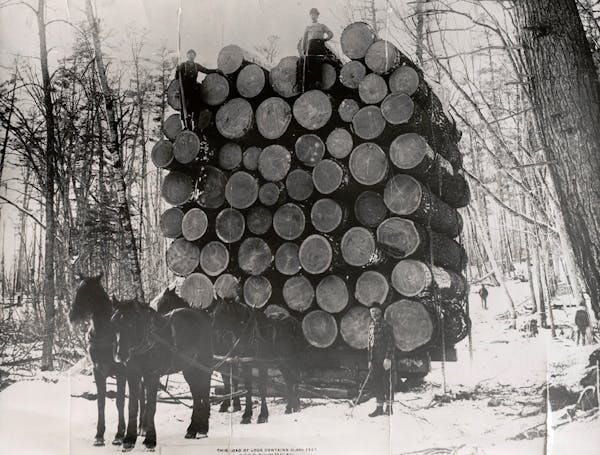 Listen: How lumberjacks harnessed an 'ocean of pine' to build Minnesota