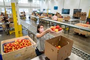Archive photo of volunteer Janessa Rosenfield of Hopkins packed apples into boxes at Second Harvest Heartland in Brooklyn Park on Friday, May 22, 2020