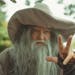 Bill Hedrick poses for a portrait while dressed as Gandalf the Grey at the 2022 Minnesota Renaissance Festival in Shakopee.