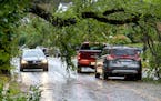 Vehicles pass under a fallen tree in Dartmouth, N.S. on Saturday, Sept. 24, 2022. 