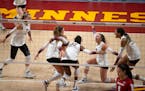The Gophers volleyball team celebrated its sweep over Wisconsin on Sunday night.