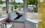 A chicken leaves its roost at a dive boat’s unmanned booking booth in Key West, Fla., Monday as king tides begin to flood city streets.