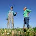 George Naylor and his wife Patti stood in a cover crop of clover on their farm on Sept. 13 near Churdan, Iowa. The Naylors began the transition to org