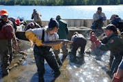 The Minnesota DNR teamed up with other Wisconsin and federal agencies and commercial fisherman this week to try and net and tag invasive silver carp. 