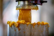 Production of oil at the CHS soybean processing site in Mankato, Minn., on Wednesday, Oct. 26, 2022. Inver Grove Heights-based CHS Inc., is one of the
