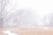 Jeff Spellmire took a walk around Riverside Fields Park during a snowfall Nov. 14 in Shakopee. A storm is expected to drop 2 to 6 inches of snow acros