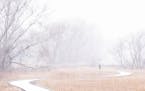 Jeff Spellmire took a walk around Riverside Fields Park during a snowfall Nov. 14 in Shakopee. A storm is expected to drop 2 to 6 inches of snow acros