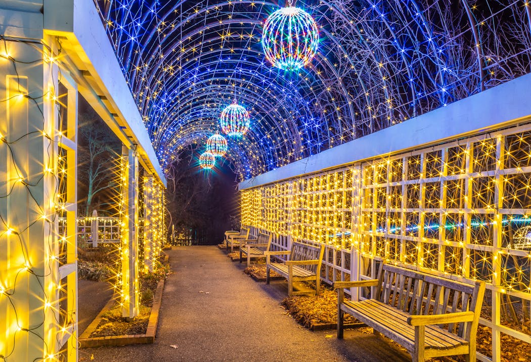 The Winter Lights display at the Minnesota Landscape Arboretum puts the focus on nature.