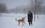 Colleen Somerville and her canine companion Cosmo played with an enormous stick Tuesday at the Fish Lake Park Reserve dog park in Maple Grove.