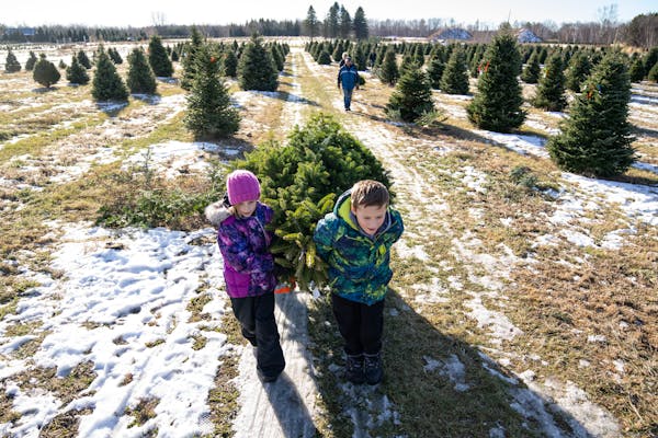 Neva, 8, and Roen Lundgren, 10, left to right, pull the Christmas tree that their grandfather cut down on a cart Saturday, Nov. 26, 2022 at Happy Land
