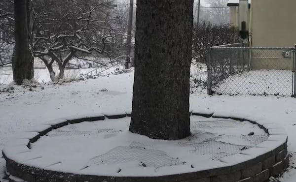 A time-lapse view of Tuesday's snowfall