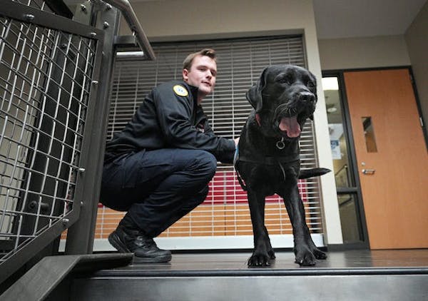 Firefighter Joe Quast greeted service dog Tanya at St. Paul Fire Station 1.