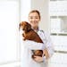 Those whose dogs spend time in social settings may want to consider a canine influenza vaccine.