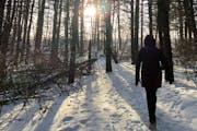 There are plenty of outdoor activities offered around the state to get people moving in the new year, such as a walk through the pines at Whitetail Wo