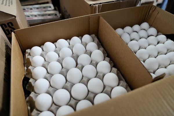 Bird flu, soaring costs cause egg prices to skyrocket