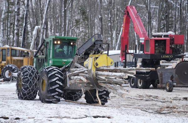 A skidder moved logging debris at a Marty Johnson Logging operation Thursday on an Aitkin County land tract that is contracted for 40 acres of harvest