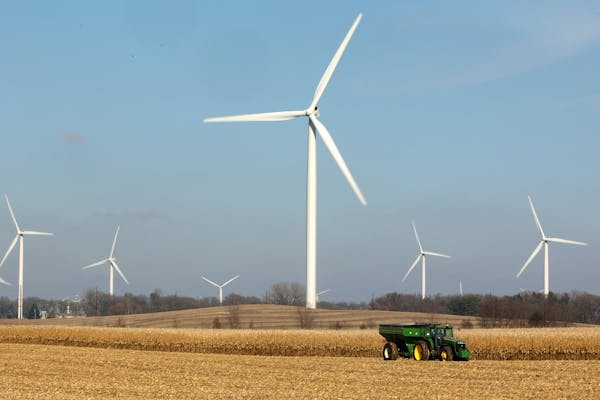 Windmills dotted the landscape as a farmer harvested corn near Alden, Minn.