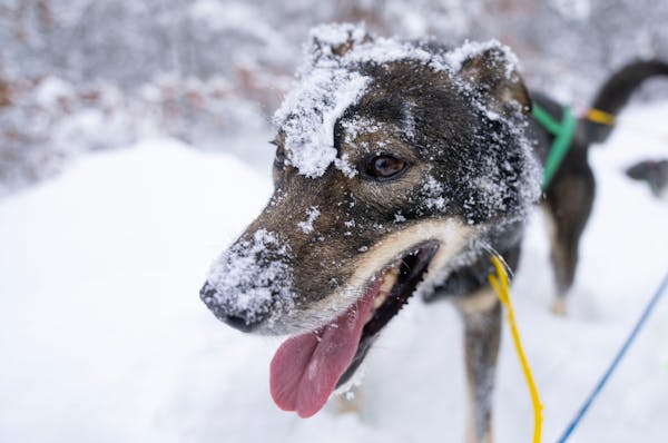 Vrable’s face is covered in snow during a break on a training run.