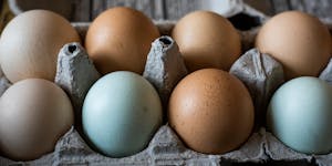 Specialty eggs, which include organic, pasture-raised and free-range, have at times been less expensive than conventional eggs as the latter faced sha