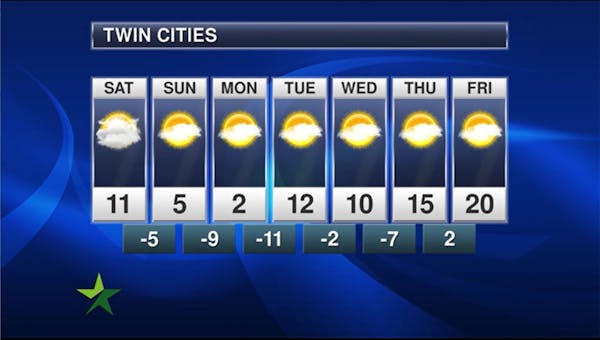 Afternoon forecast: High of 11, with subzero windchills