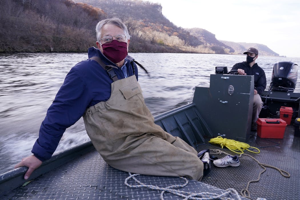 Peter Sorensen looked upriver as Jeff Whitty, a research biologist, steered their boat down the Mississippi River toward their target area of study near Lock and Dam 5. 
