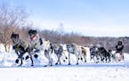 Mary Manning’s sled dog team takes off from the start line of the John Beargrease Sled Dog Marathon.