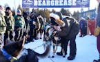 Keith Aili of Ray, Minn. greeted his dog team after they crossed the finish line to win the 39th annual John Beargrease Sled Dog Marathon on Tuesday a