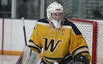 Will Ingemann’s presence in goal means Wayzata can rebound from a rough patch.