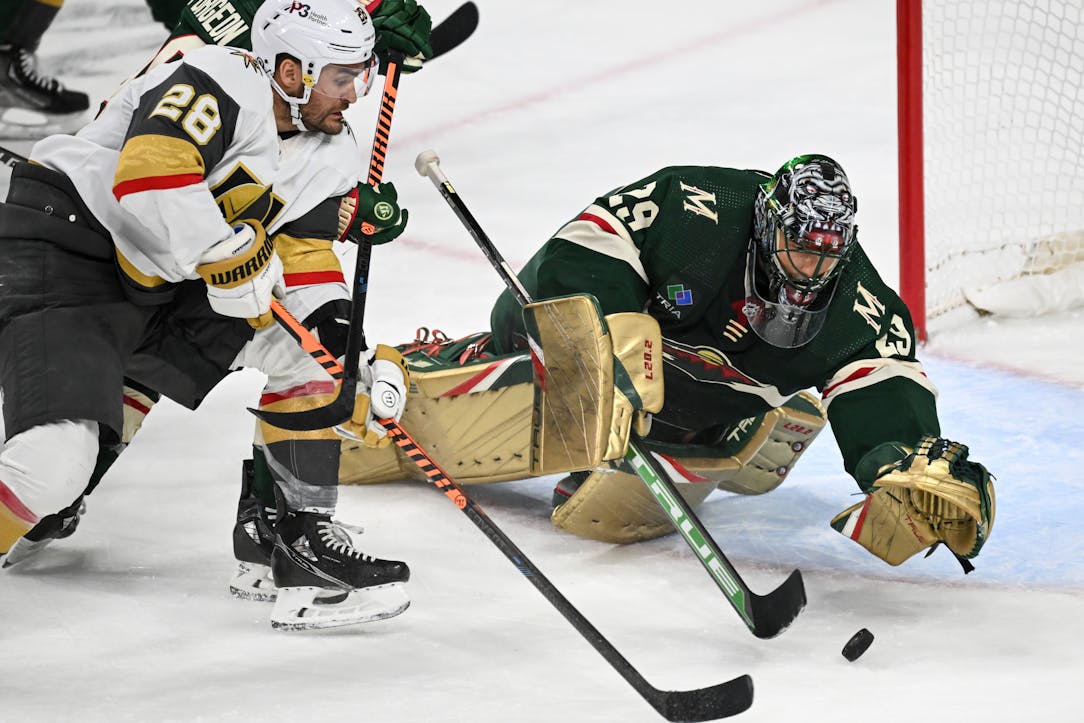 Marc-Andre Fleury taking brief leave from Wild for 'deep personal matter