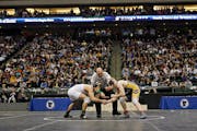 Twenty-four teams qualified to experience the scene at the wrestling state meet in Xcel Energy Center.