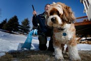 Tom Zurn posed with his family dog Wilson a Tibetan Terrier and his invention the PooBagger.