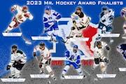 The finalists for the Mr. Hockey Award.